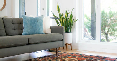 Enhancing Your Living Room with the Perfect Rug and Sofa Combination