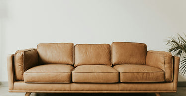 Why Lighting Matters When Choosing a Sofa